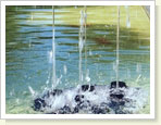 Water Quintet